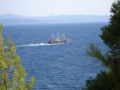 photo.jpg